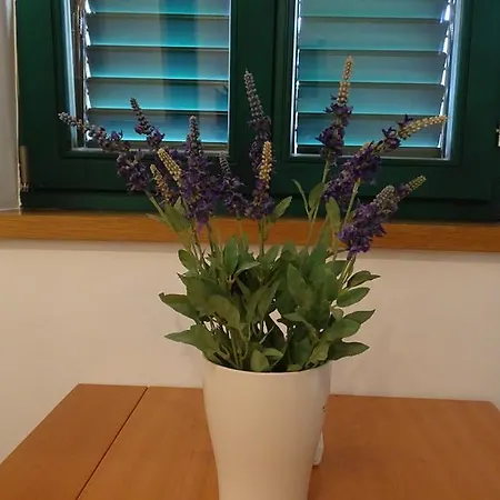 Apartment Rita